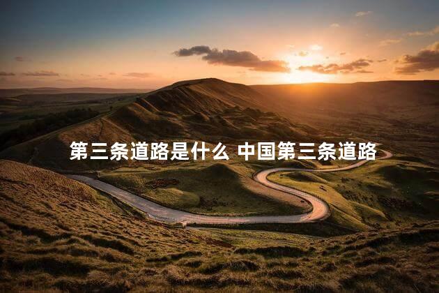 第三条道路是什么 中国第三条道路